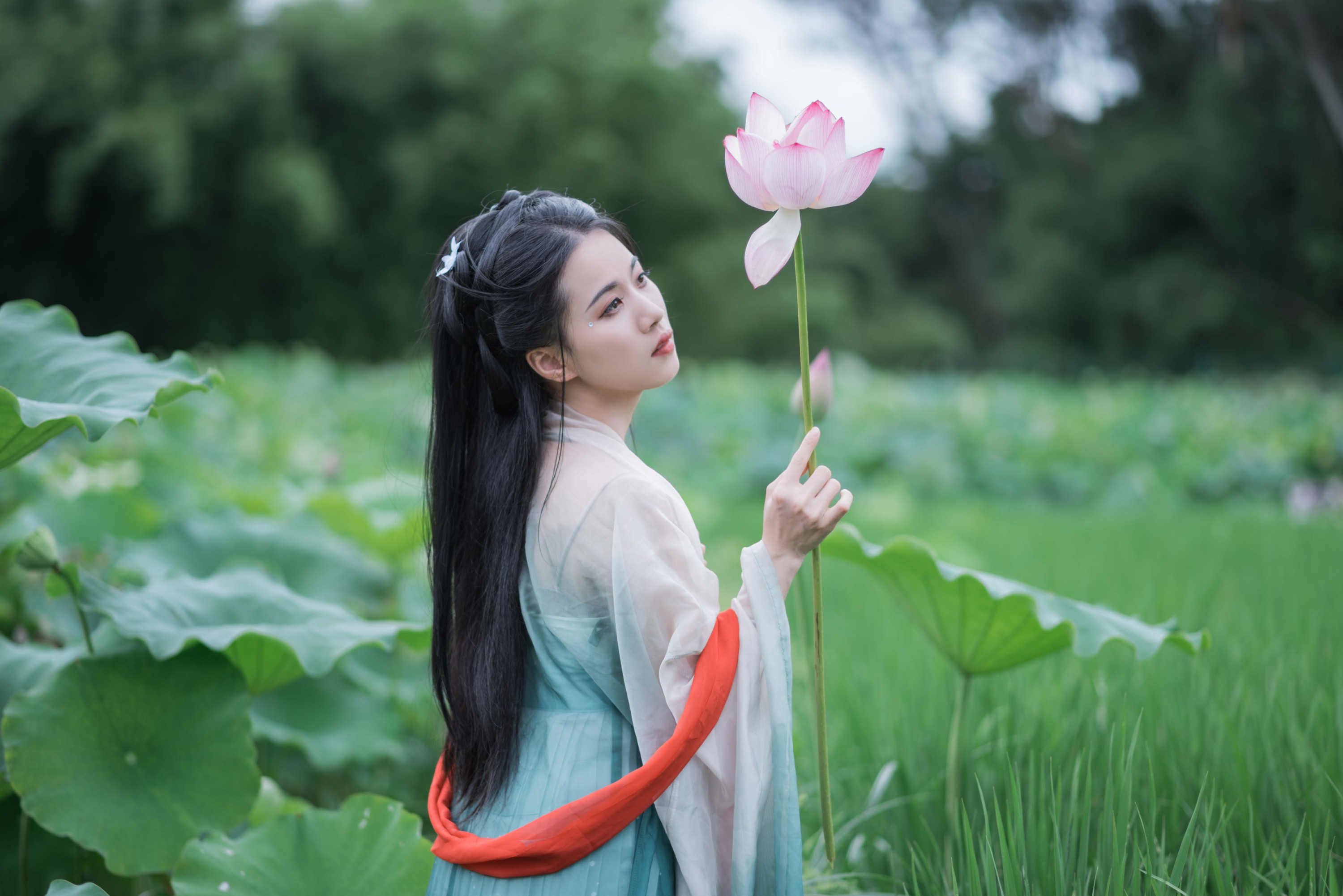 图片[1] - 《荷塘深处，邂逅一袭宋韵温柔》[13P] - 机器猫次元 - 机器猫次元